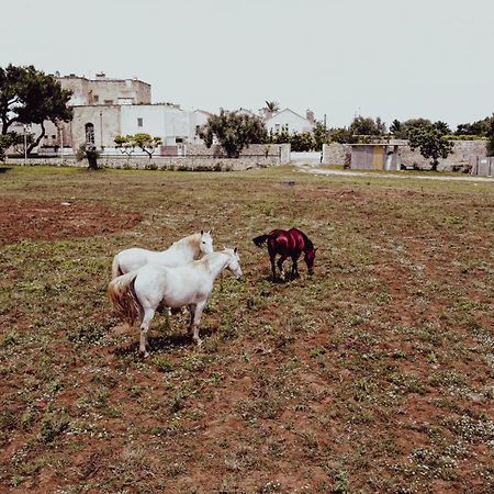 Masseria Francescani Torre Chianca Buitenkant foto